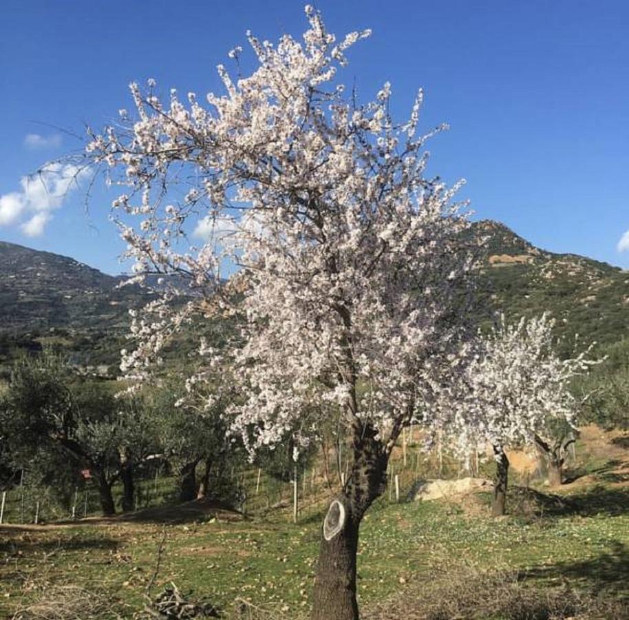 Вилла Agriturismo Su Barraccu Loceri Экстерьер фото